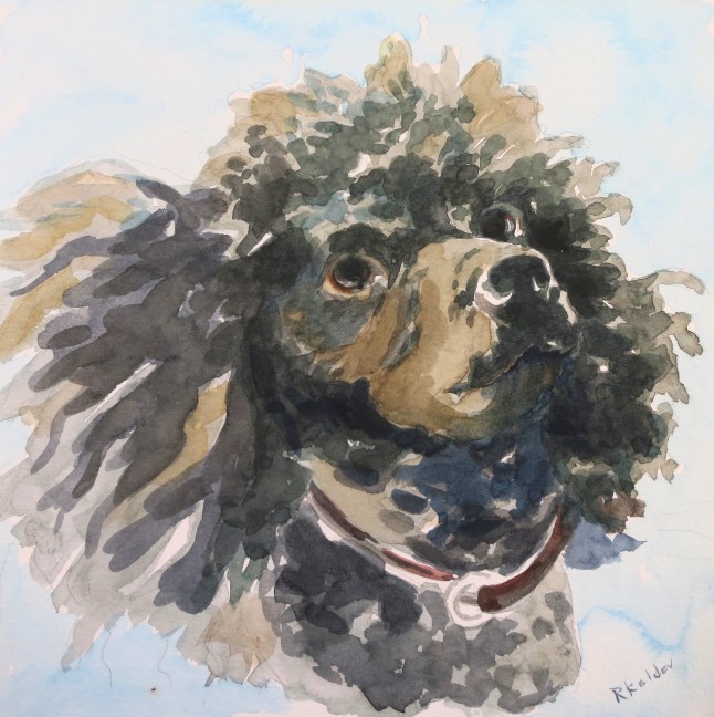 ruthkaldor_poodle (1)