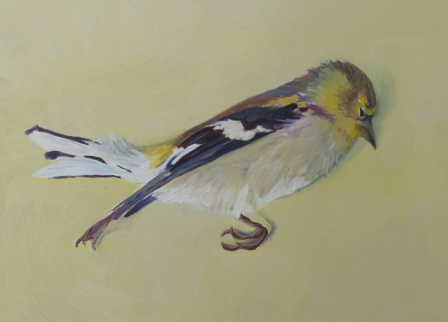 ruthkaldor_goldfiinch