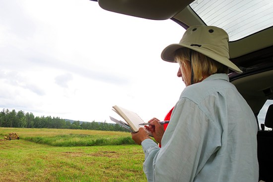 RuthStudySketchPaint_02_700