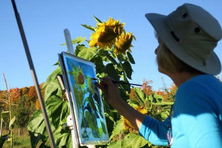 ruthpainting_burttssunflowers02original_resize