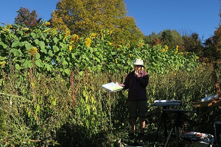 sunflowerautumnruth_600