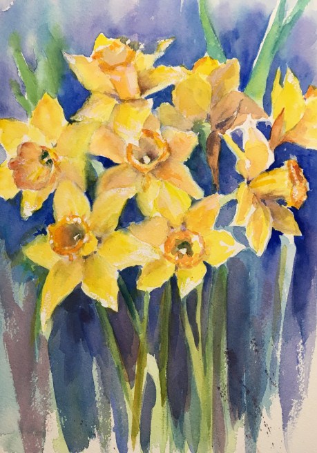 daffodil1