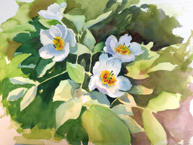 img_3234-1-e1528050722179